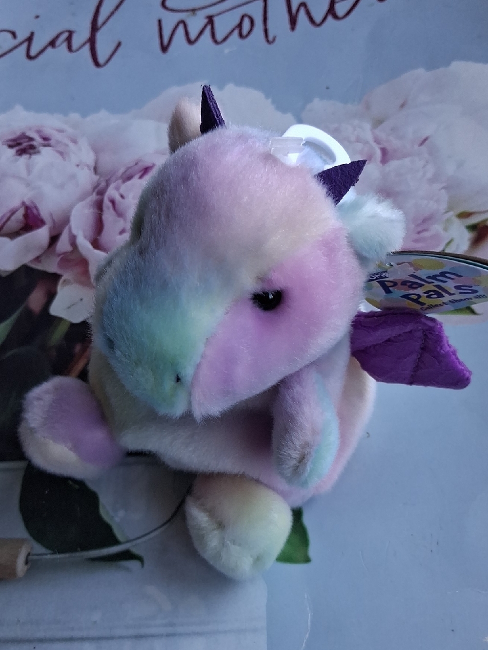 ASTER  the dragon Palm Pals NWT